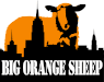 Big Orange Sheep